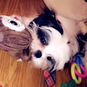 Meet your Posher, Khariyyah